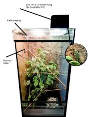 Chamäleon-Aufzucht Terrarium 80x40x40