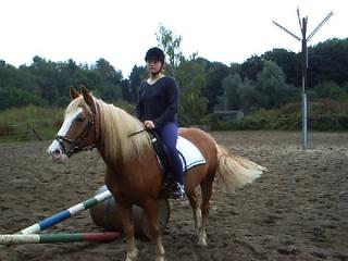 Biete Reitbeteiligung für meinen Haflinger in Bochum ab 16 J.