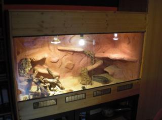 Großes Holz-Terrarium HxBxT 1m x 1, 5m x 0, 6m