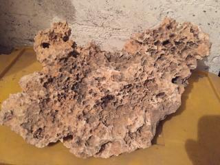 3 Terrarien Steine Farbe Hamster Schlangen Reptilien Käfer
