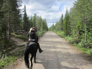 Reit-/ Campingurlaub in Nordschweden