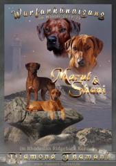 Wurfplanung Winter 2021/20 im Rhodesian Ridgeback Kennel of Diamond-Thamani
