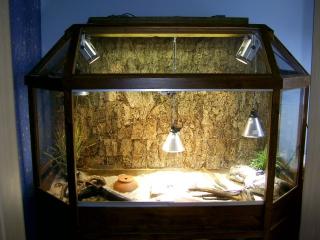 Riesen Terrarium