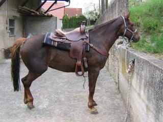Westernsattel