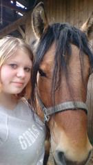 Ich suche eine Reitbeteiligung mit Unterricht / Pflegetbeteiligun