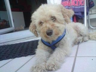 Lucy sucht eigenes zu Hause