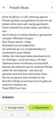 Freizeit Stute