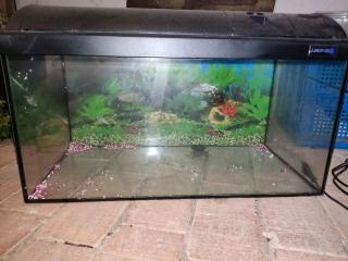 Aquarium 60x30cm
