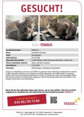 KATER FINDUS BELOHNUNG ERHÖHT 500 Euro GESUCHT WALDHOF