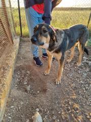 Jenny sucht ein passendes ZUhause