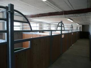Stallplätze mit direktem Geländezugang