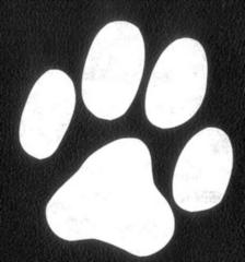Petdomain. de Heimtierbedarf - Click und Schick