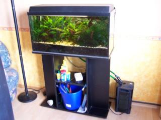 Aquarium 80 x30 cm zu verschenken