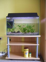 Aquarium mit Inhalt