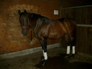 Biete RB an Wallach