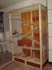 Chinchillas suchen neues Zuhause