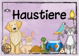 Haustierbesitzer weiterlesen