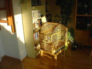 Seltener Vogelkäfig aus Holz