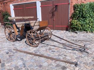 Pferdekutsche Kutsche Gespann einspännig, zweispännig Haflinger