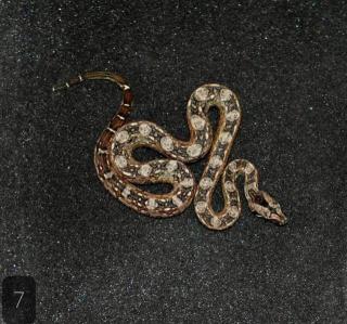Bci Tarahumara/Mexico Zwergboa 05/21