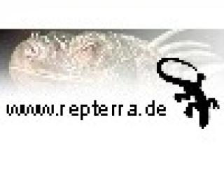 Alles für Reptilien