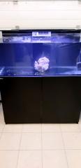Verkaufe mehrere Meerwasser Aquarien Aquarium inkl Technik