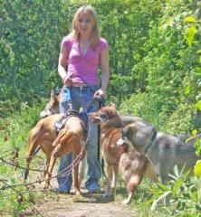 Hundebetreuung - Urlaub für Ihren Hund