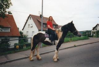 Welchem Karottenmonster ist es langweilig