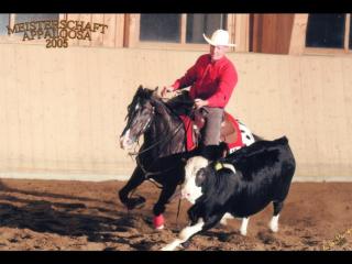 Magic Kiss- European Champion Multiple World Show Qualifier