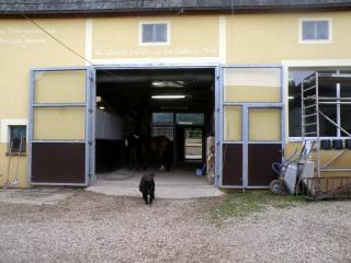 Helle große Boxen zu vermieten in 04720 Ebersbach