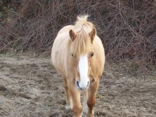 Biete RB in Finthen