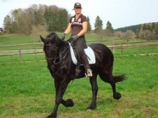 TROY - STERWALLACH DER EXTRAKLASSE