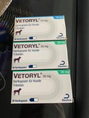 Vetoryl für Hunde
