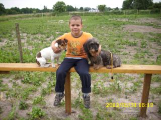 Hundeschule Mensch Hund im Einklang