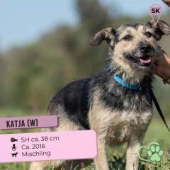 Katja. ist etwas ganz besonderes
