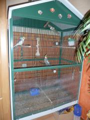 Vogelvoliere Sittichvoliere Vogelkäfig Voliere 170 x 104 x 75
