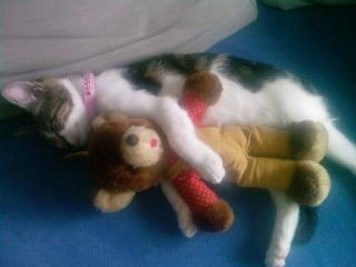 Mia und Muffel suchen dringend ein neues zuhause