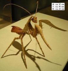 Gongylus aus Bambus