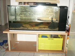 Verkaufe 2 Wasserschildkröten mit Aquarium und Unterbau