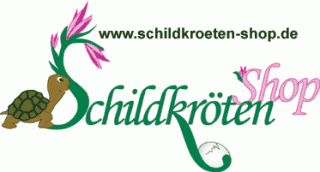Landschildkröte Schildkröte