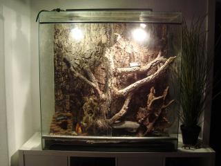 Biete ein Terrarium inkl. Starter-Kit Leopard-Geckos an