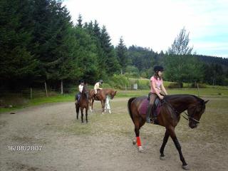 Suche Reitbeteiligung im Süden von München
