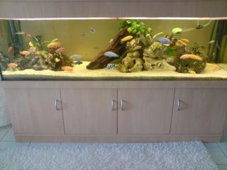 720l komplett - aquarium 200 60 60 cm
