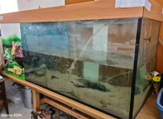 Aquarium mit und ohne Zubehör
