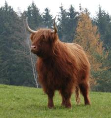 Schottische Highlands