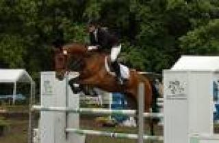 Suche eine Reitbeteiligung