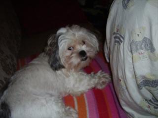 Ich Lucy aus 45143 Essen suche ein gutes zuhause