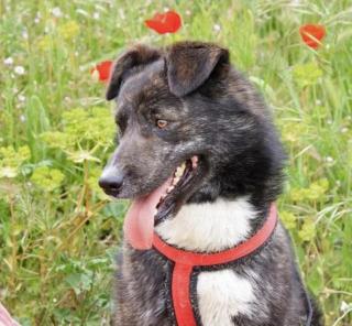 Thunder - hat mit Donner wenig zu tun