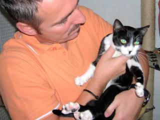 Katze Tina, Wunder gesucht