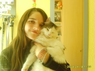 Suche Katze